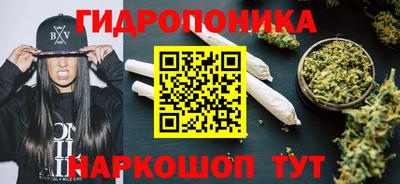 mdpv Обнинск